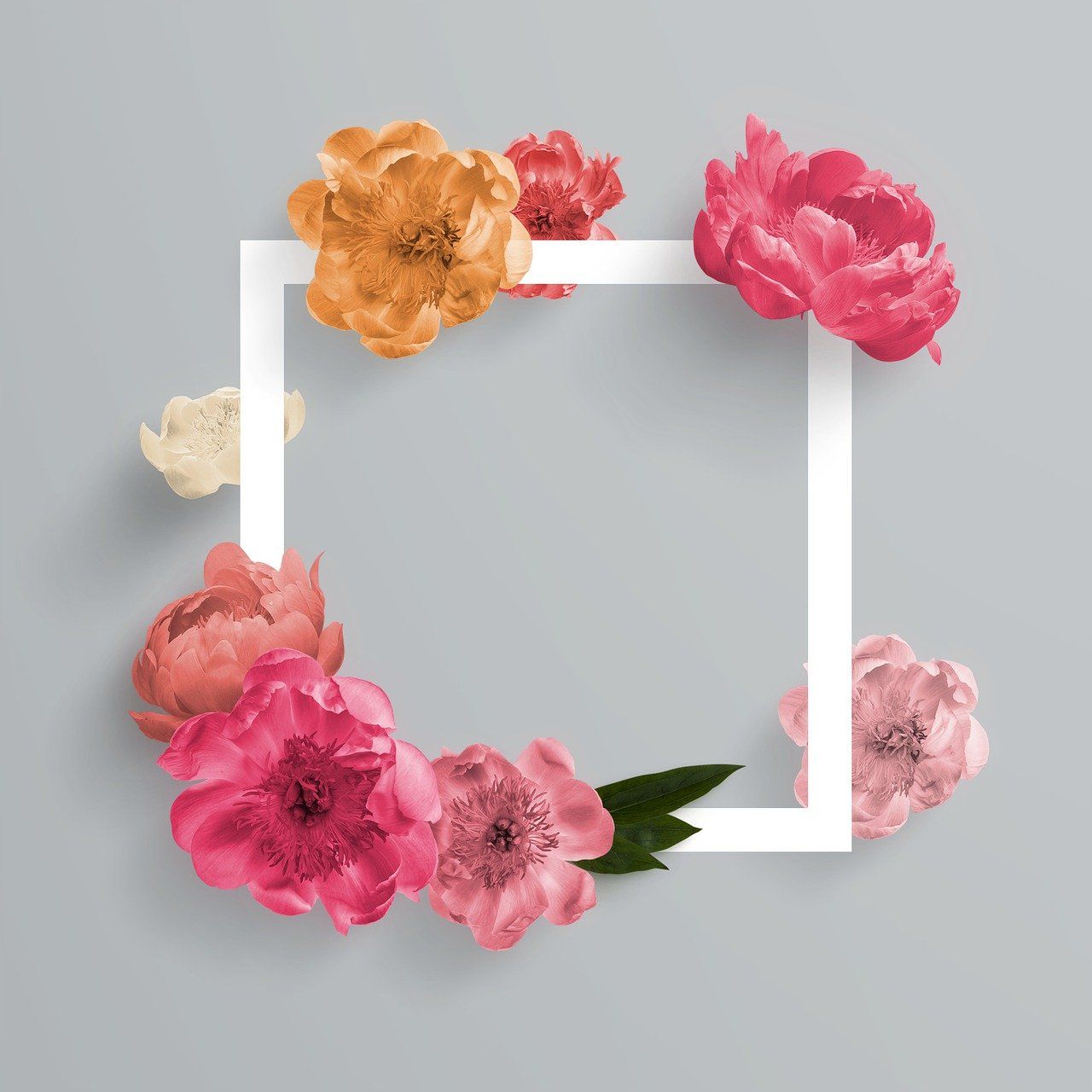 découvrez comment optimiser votre présence sur instagram grâce au seo. apprenez des stratégies efficaces pour améliorer la visibilité de votre profil, augmenter votre nombre d'abonnés et générer plus d'engagement. transformez votre compte instagram en un outil performant pour votre marque.