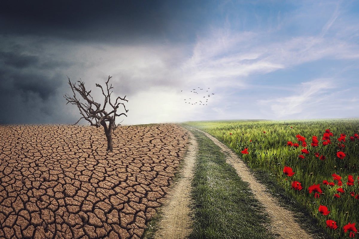 Les changements de comportement des utilisateurs et le seo